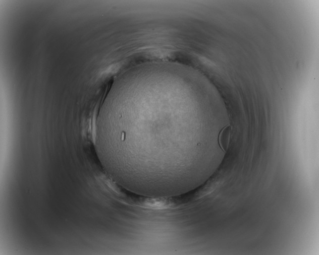 X0000086750624200704271711