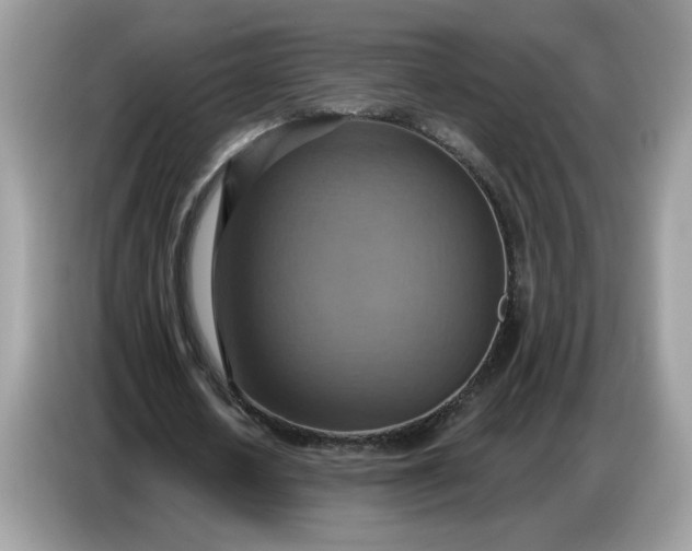 X0000086750626200704271711