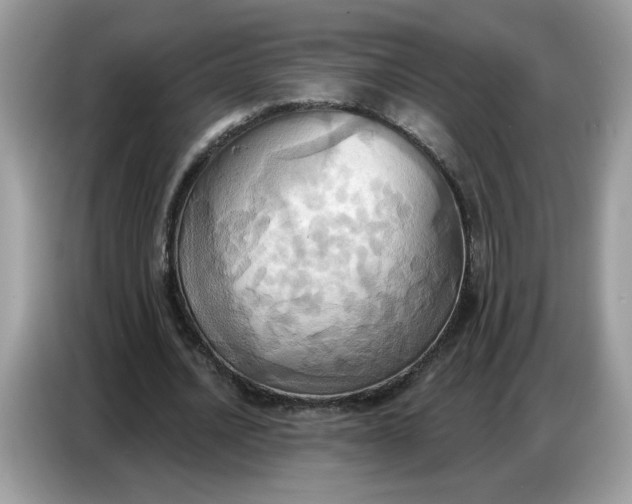 X0000086750628200704271711