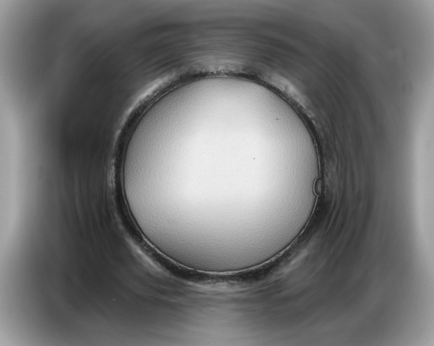 X0000086750629200704271711