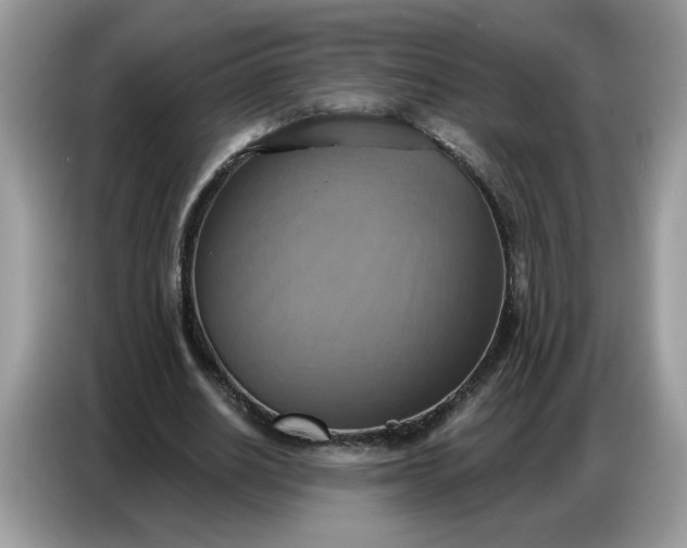 X0000086750630200704271711