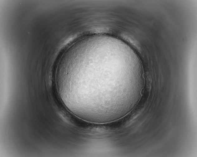 X0000086750631200704271711