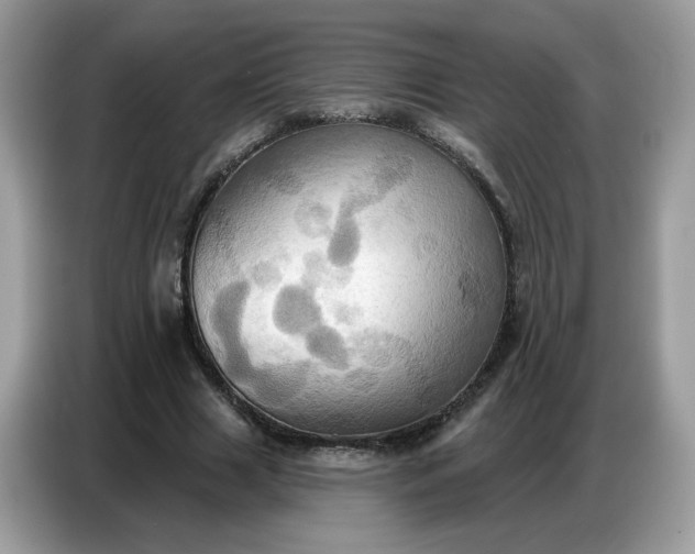 X0000086750633200704271711