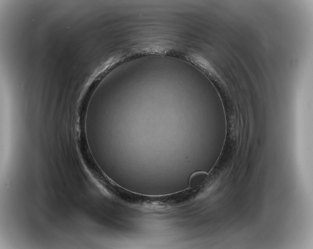 X0000086750634200704271711