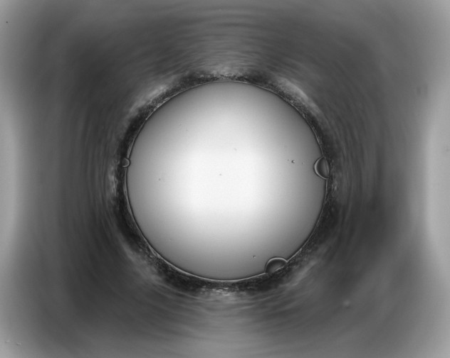 X0000086750635200704271711