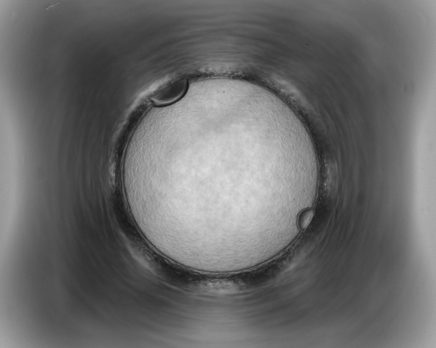 X0000086750636200704271711