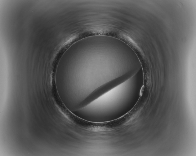 X0000086750637200704271711