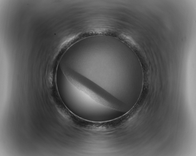 X0000086750640200704271711