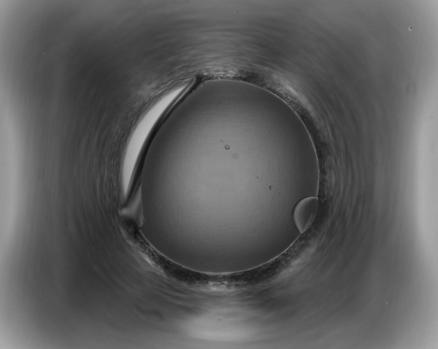 X0000086750641200704271711