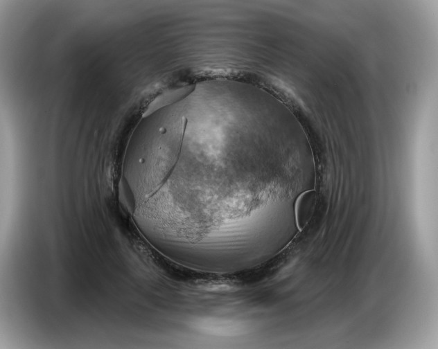 X0000086750643200704271711