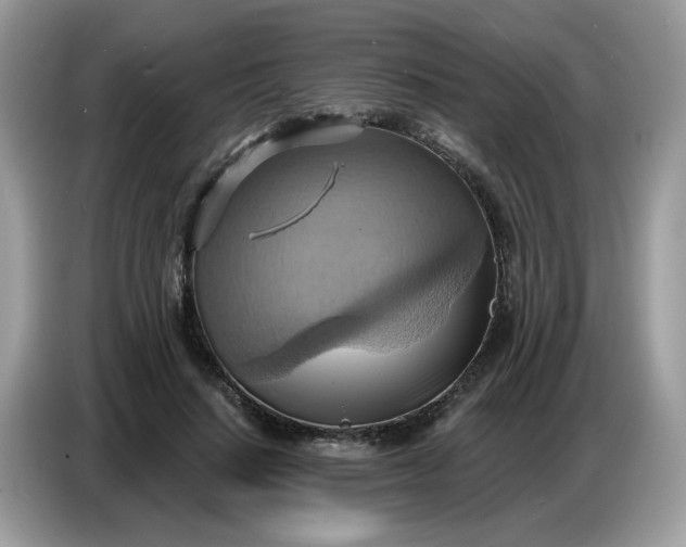 X0000086750644200704271711