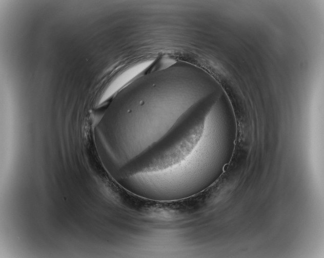 X0000086750648200704271711