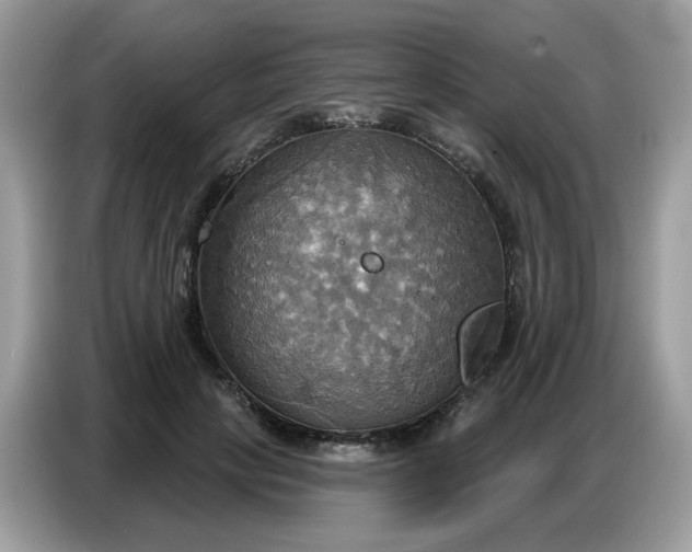 X0000086750649200704271711