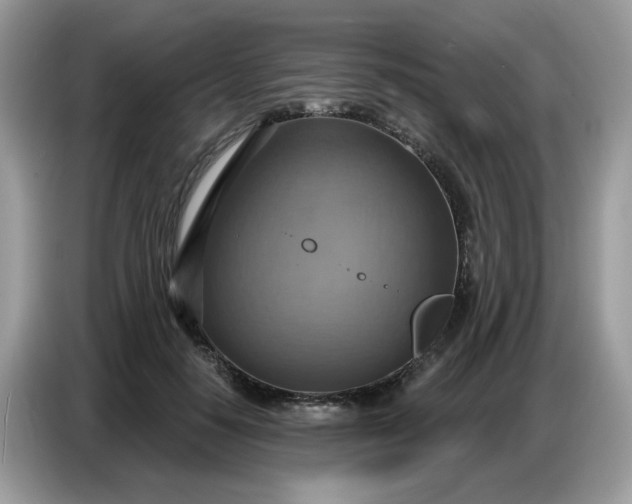 X0000086750650200704271711