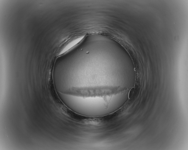 X0000086750652200704271711