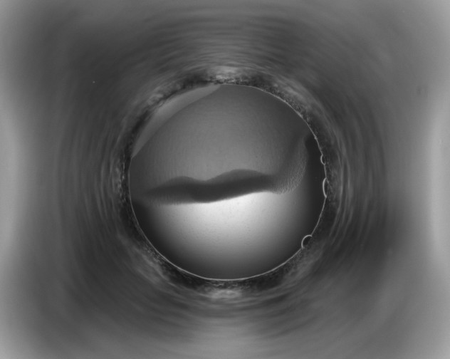 X0000086750653200704271711