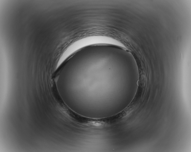 X0000086750654200704271711