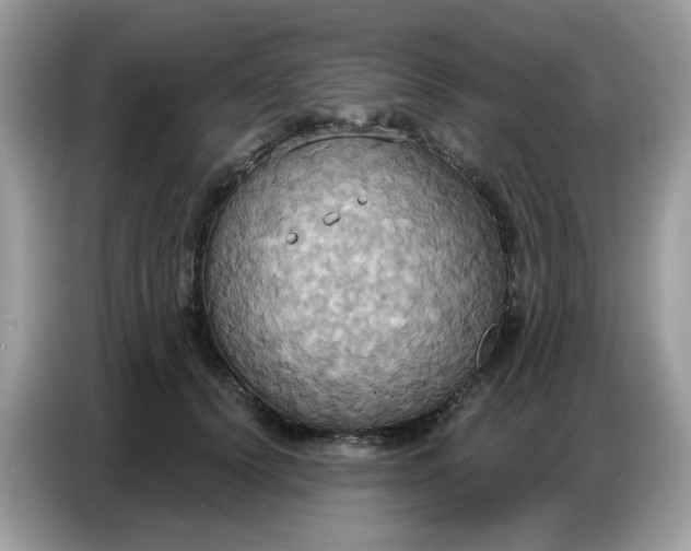 X0000086750656200704271711