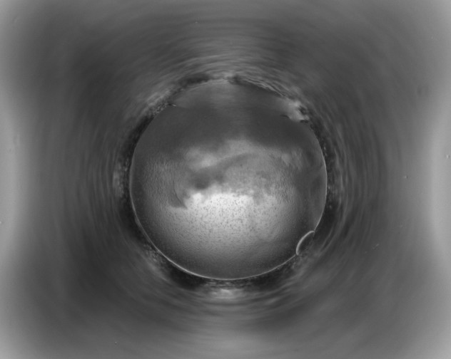 X0000086750658200704271711