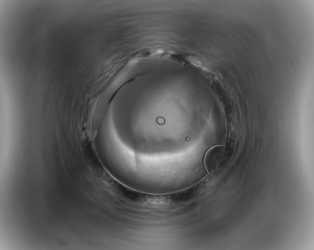 X0000086750659200704271711