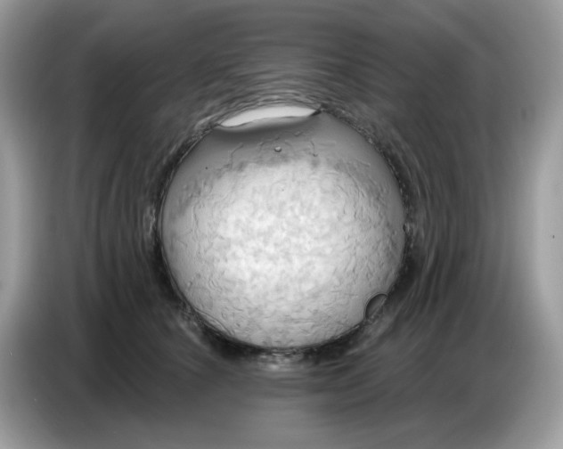 X0000086750660200704271711