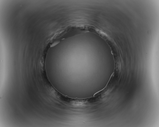 X0000086750661200704271711