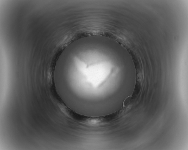 X0000086750662200704271711