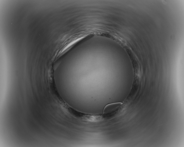 X0000086750663200704271711