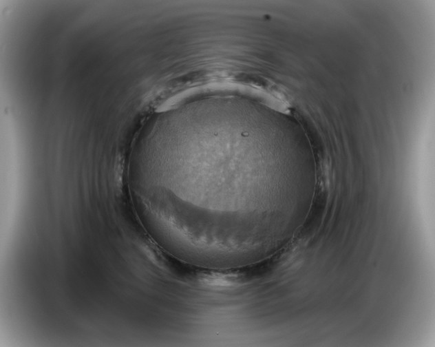 X0000086750664200704271711