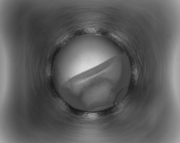 X0000086750665200704271711