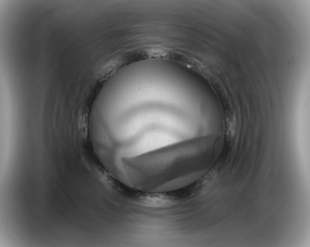 X0000086750666200704271711