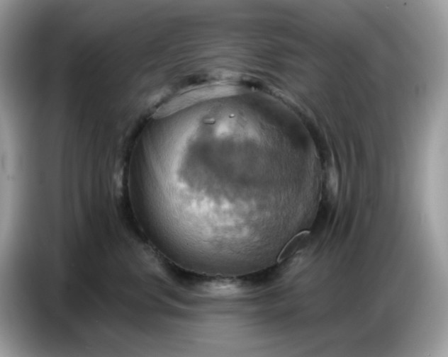 X0000086750668200704271711