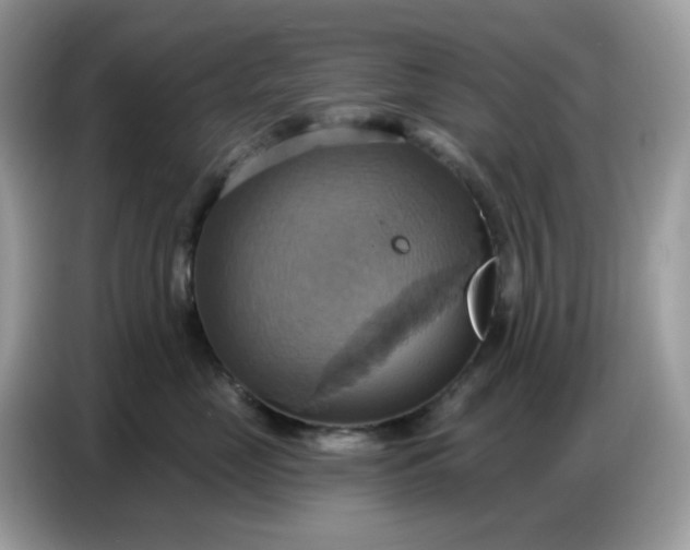 X0000086750669200704271711