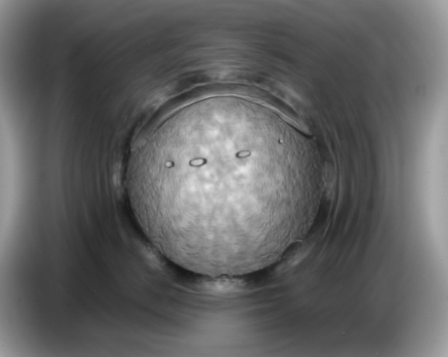 X0000086750670200704271711