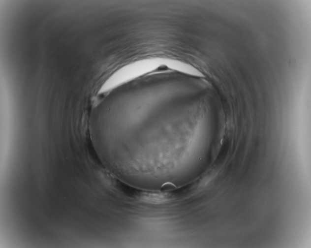 X0000086750671200704271711