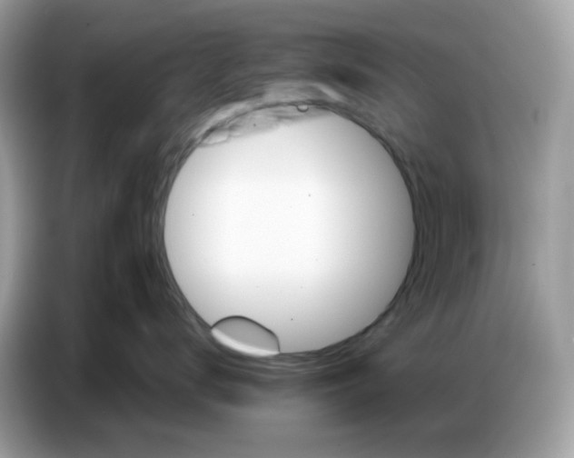 X0000086750672200704271711