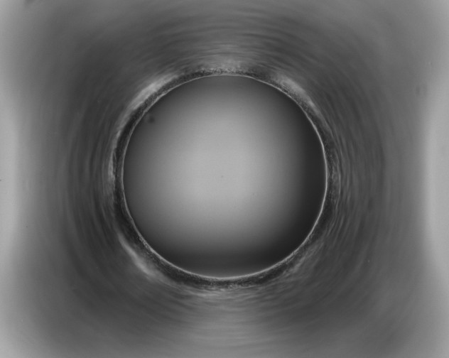 X0000086750674200704271711