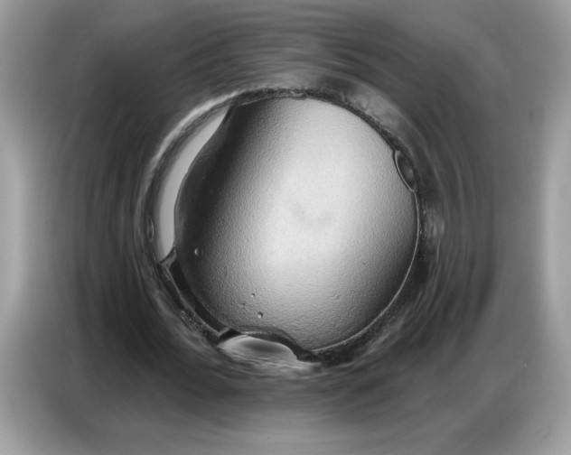 X0000086750676200704271711