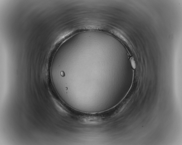 X0000086750677200704271711