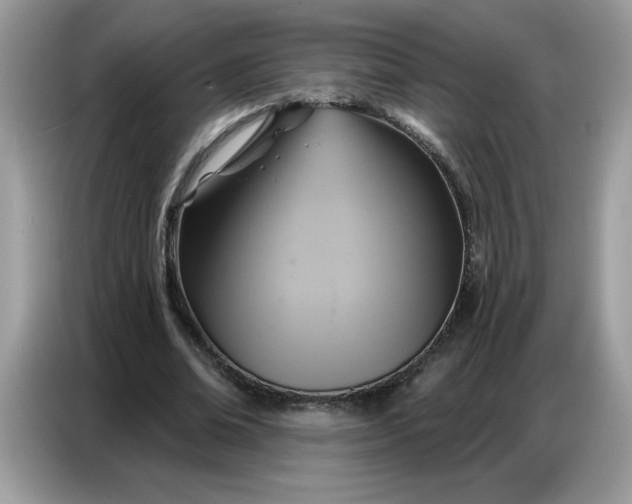 X0000086750678200704271711