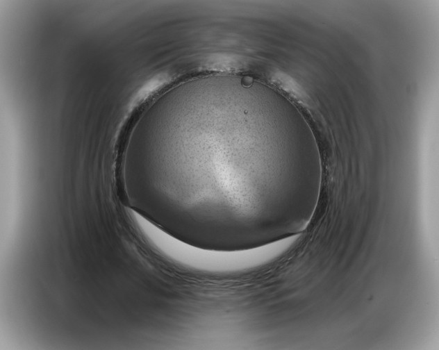 X0000086750679200704271711