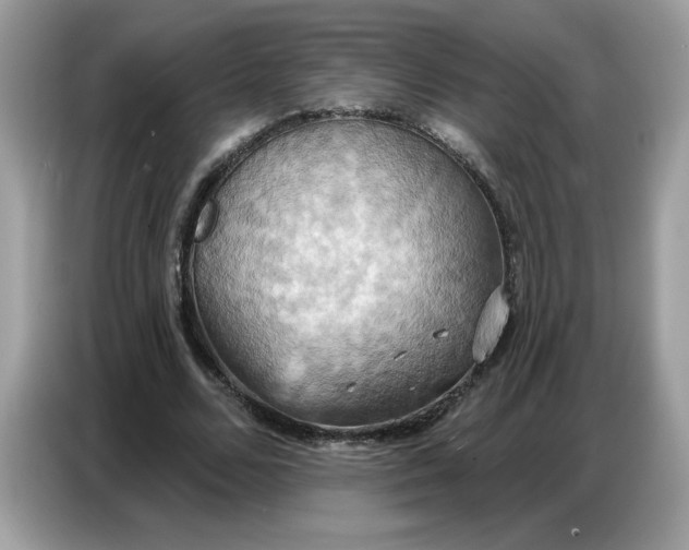 X0000086750680200704271711