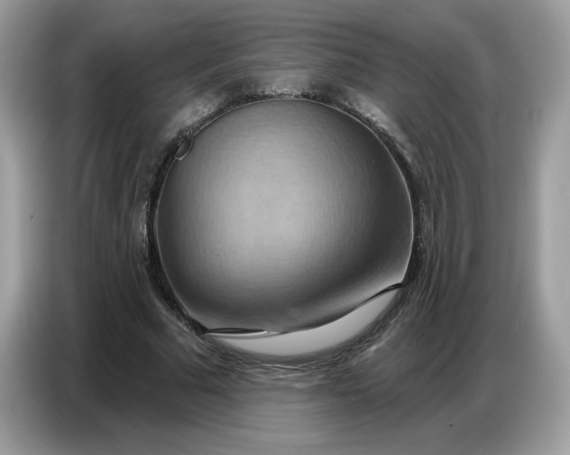 X0000086750681200704271711