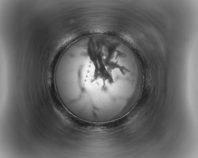 X0000086750683200704271711