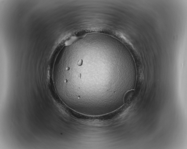 X0000086750685200704271711