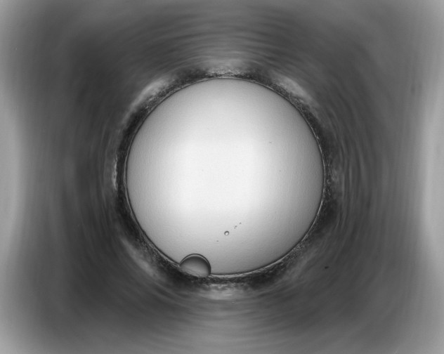 X0000086750686200704271711