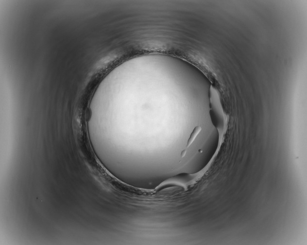 X0000086750688200704271711