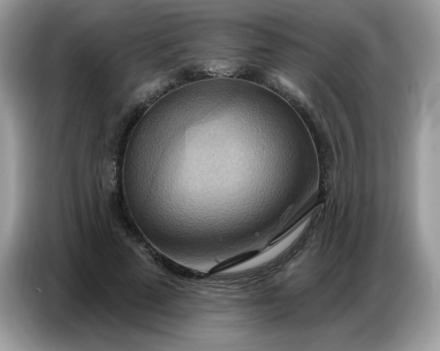 X0000086750689200704271710