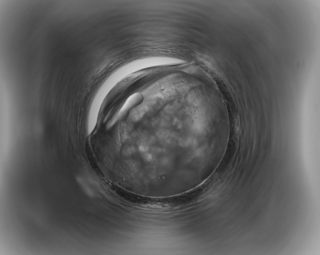 X0000086750691200704271710