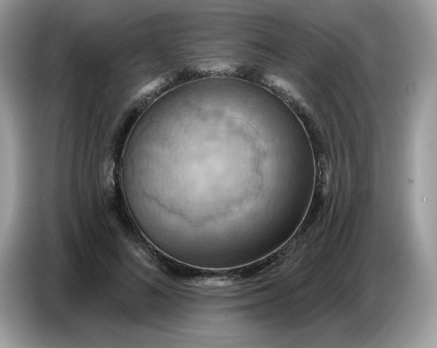 X0000086750692200704271710